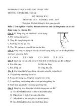 Đề thi học kỳ 2 môn Vật lý 6  năm học 2014  2015 trường THCS Lê Thị Cẩm Lệ